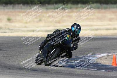 media/Jun-30-2024-TrackDaz (Sun) [[975061b0f9]]/Group C/Grapevine (940am)/